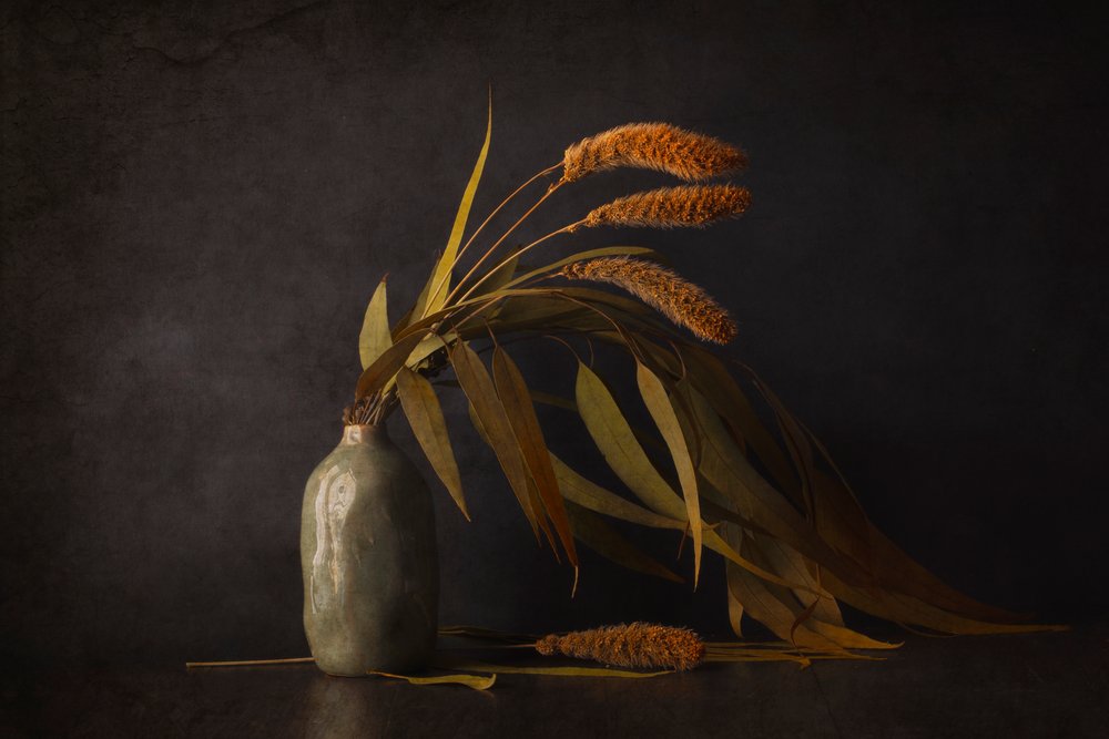 Nature morte botanique séchée - Cicek Kiral