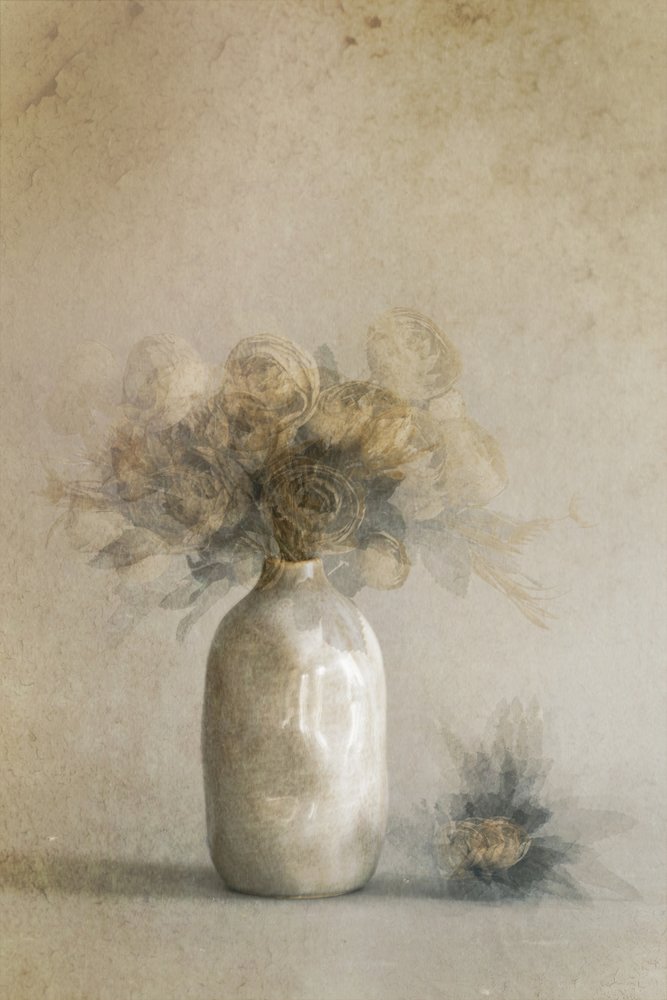 Fleurs séchées éthérées - Cicek Kiral