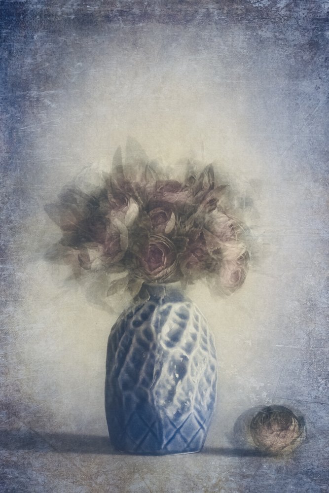 Nature morte à la rose fanée - Cicek Kiral