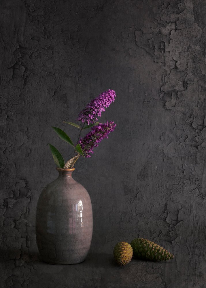 Tout droit sorti du jardin - Cicek Kiral