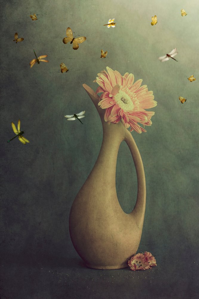 Vase de gerberas et vol - Cicek Kiral