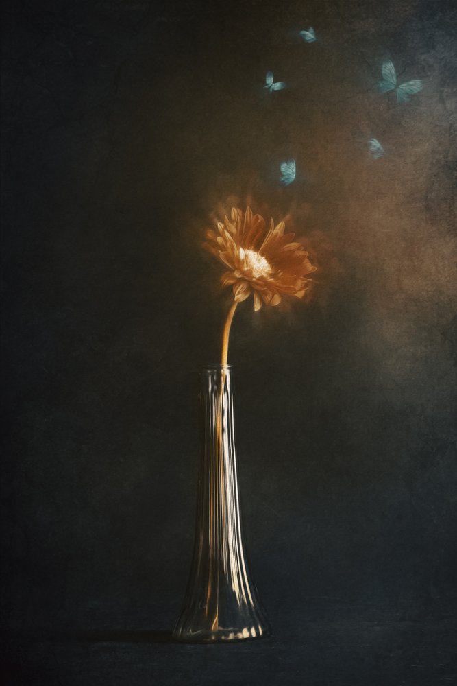 Papillons aux fleurs lumineuses - Cicek Kiral