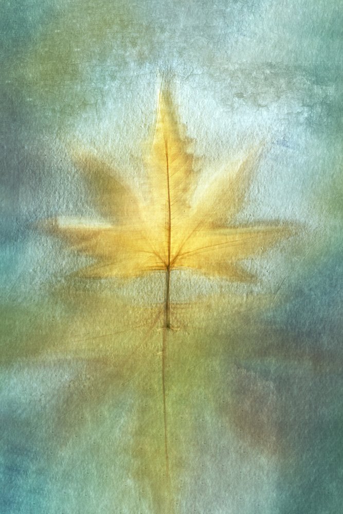 Reflet d