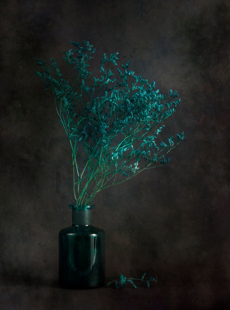 Nature morte botanique mélancolique - Cicek Kiral