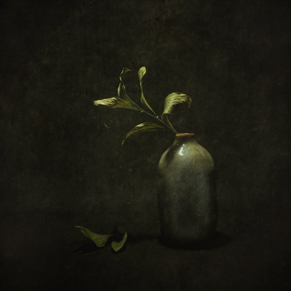 Nature morte botanique mélancolique - Cicek Kiral