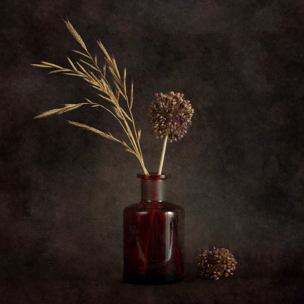 Moody - Plantes séchées - Cicek Kiral