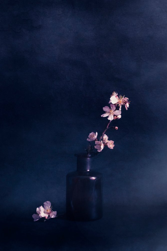 Vase à fleurs « Moody » - Cicek Kiral