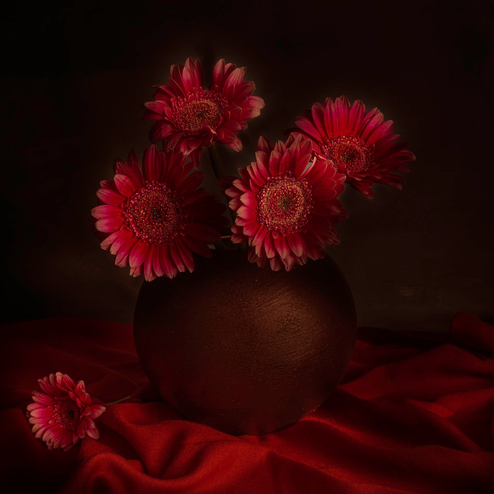 Nature morte aux gerberas mélancoliques - Cicek Kiral