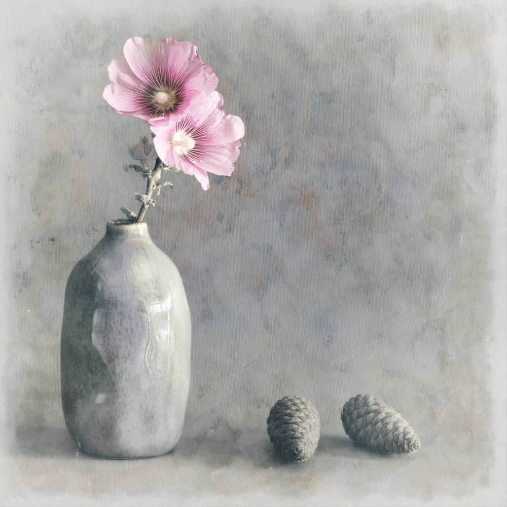 Nature morte à la rose trémière rose - Cicek Kiral