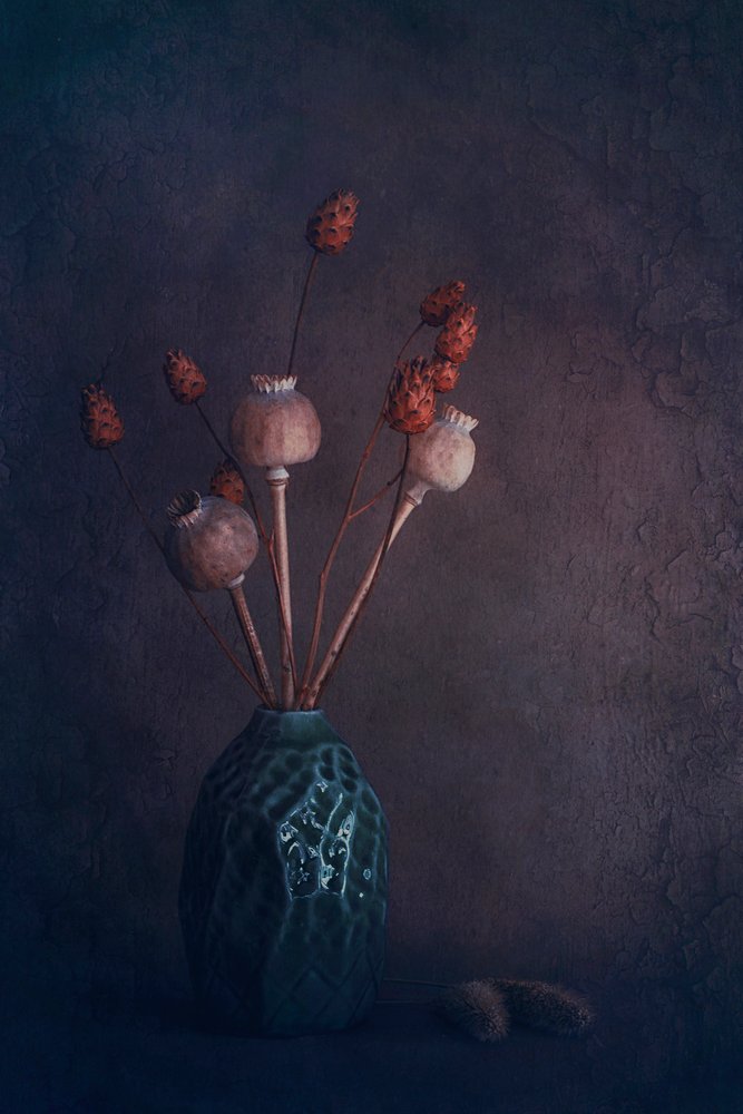 Nature morte aux cosses rustiques - Cicek Kiral