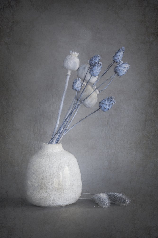 Fleurs séchées « Serene » - Cicek Kiral