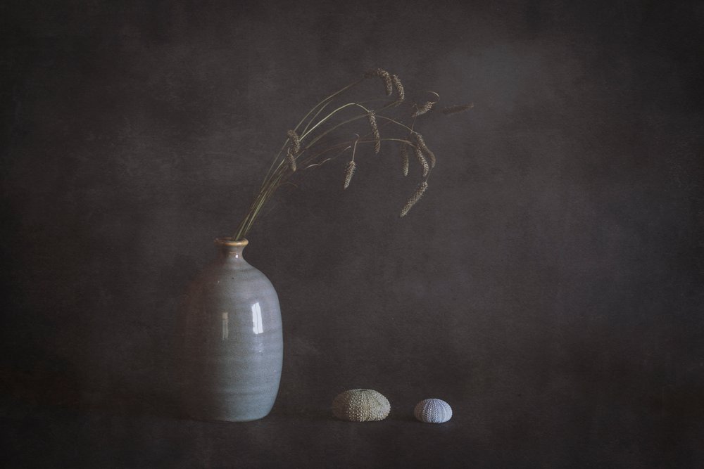 Nature morte sereine avec des oursins - Cicek Kiral