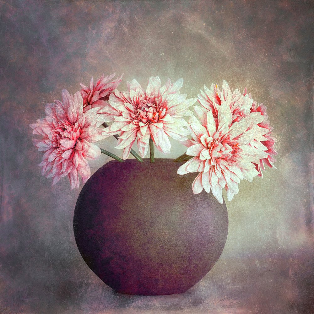 Nature morte florale rose pâle - Cicek Kiral