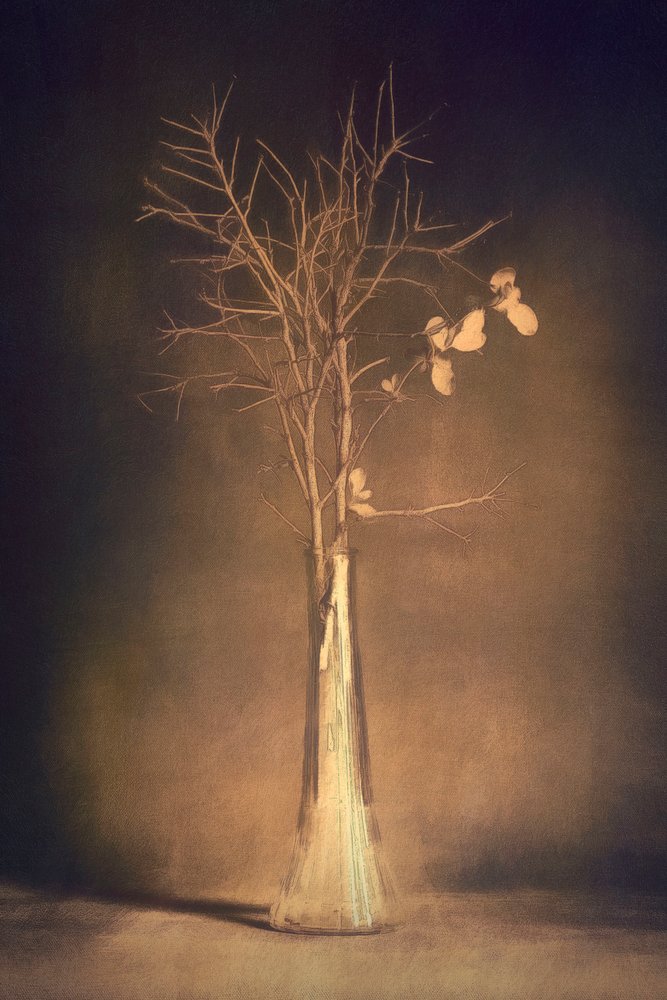 Vase « Warm Branch » - Cicek Kiral