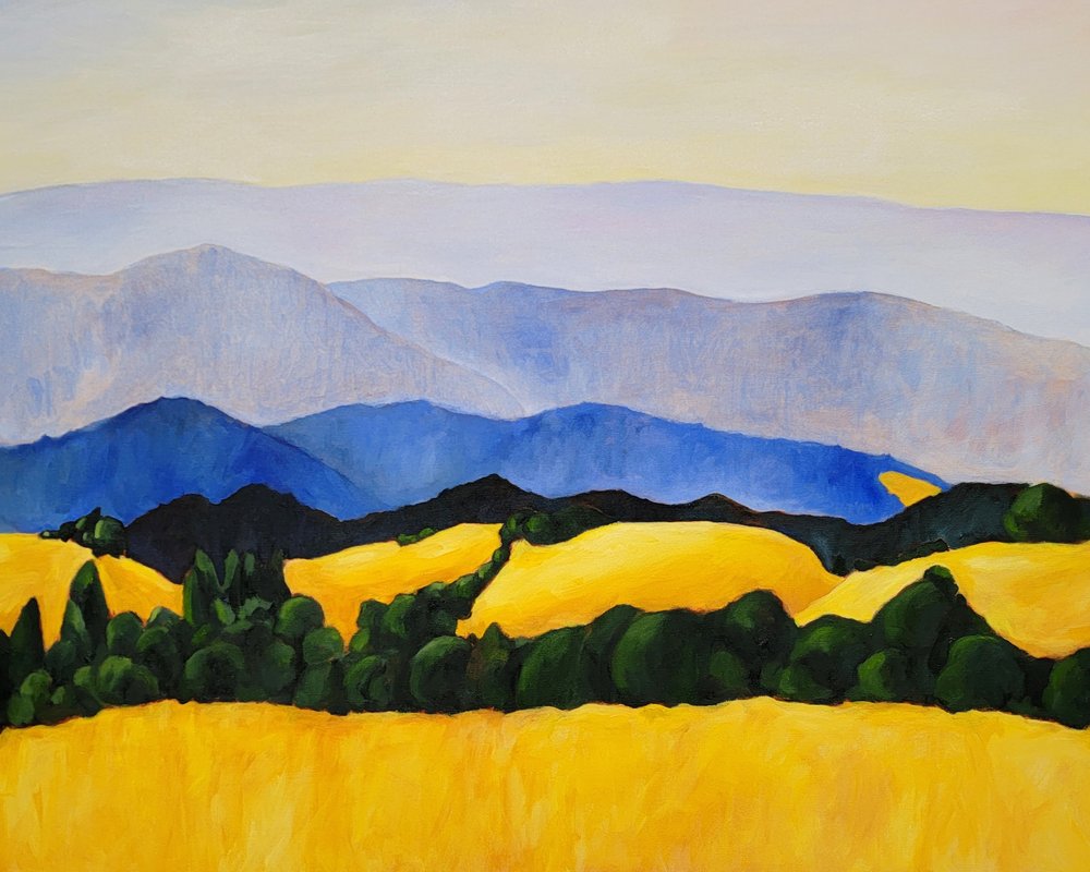 Champs dorés à perte de vue - Claire Whitehead