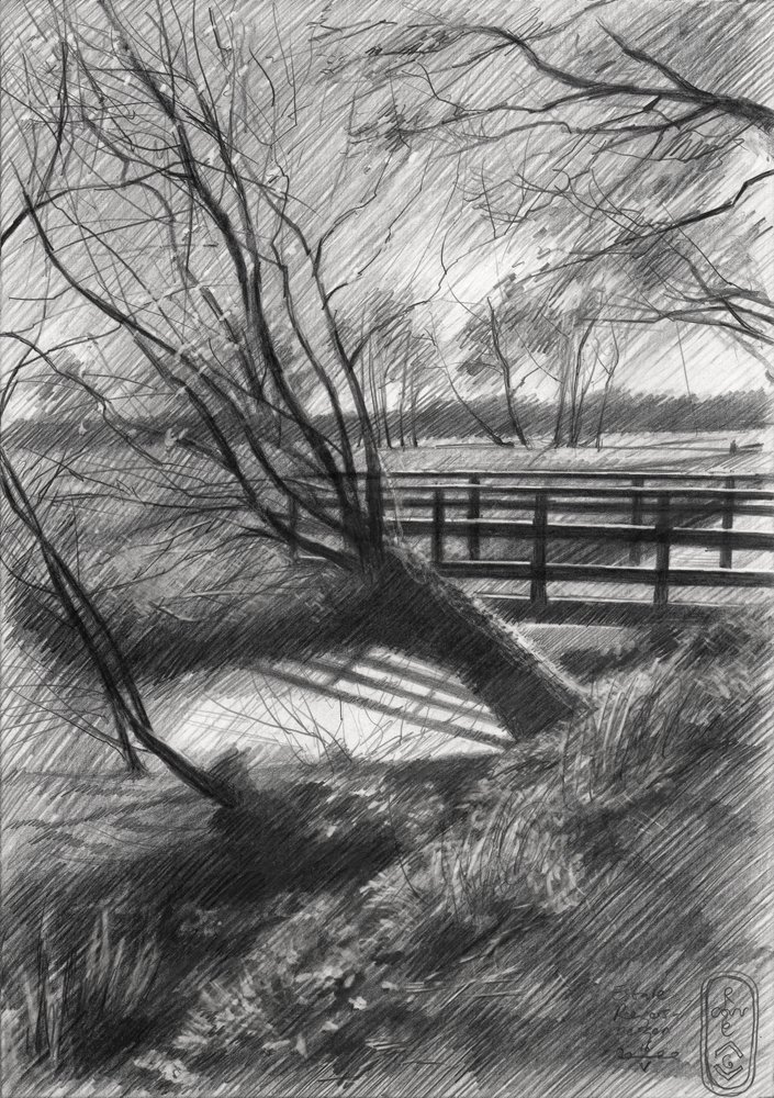 Paysage rural hivernal - Corné Akkers