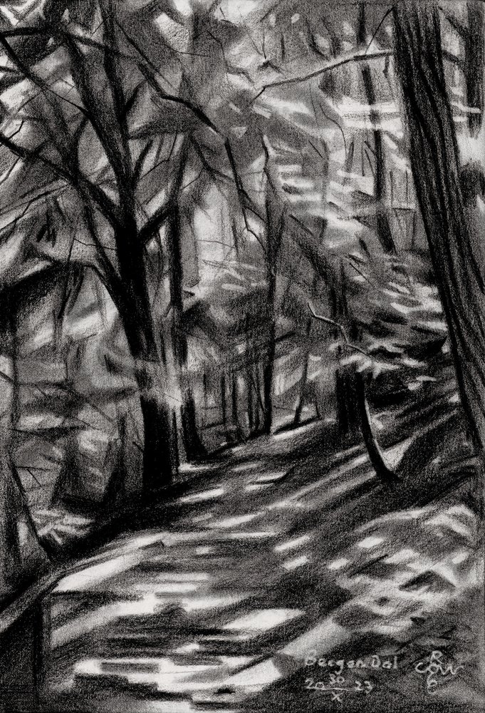 Sentier forestier ensoleillé - Corné Akkers