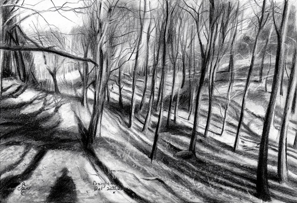 Sentier forestier en hiver - Corné Akkers