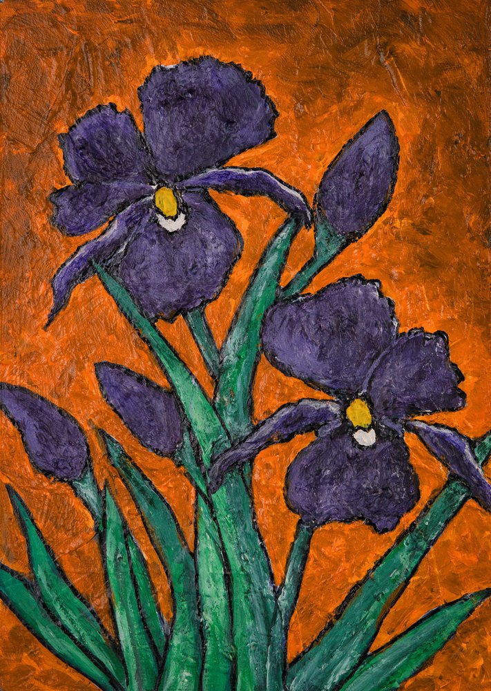 Des iris d