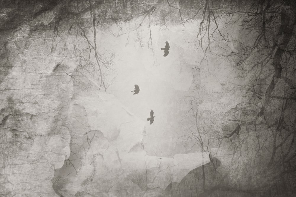  - Daniela Riegler