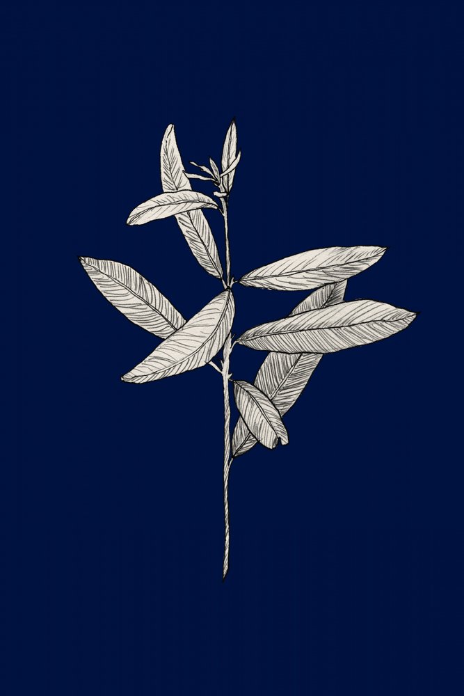  - Danushka Abeygoda