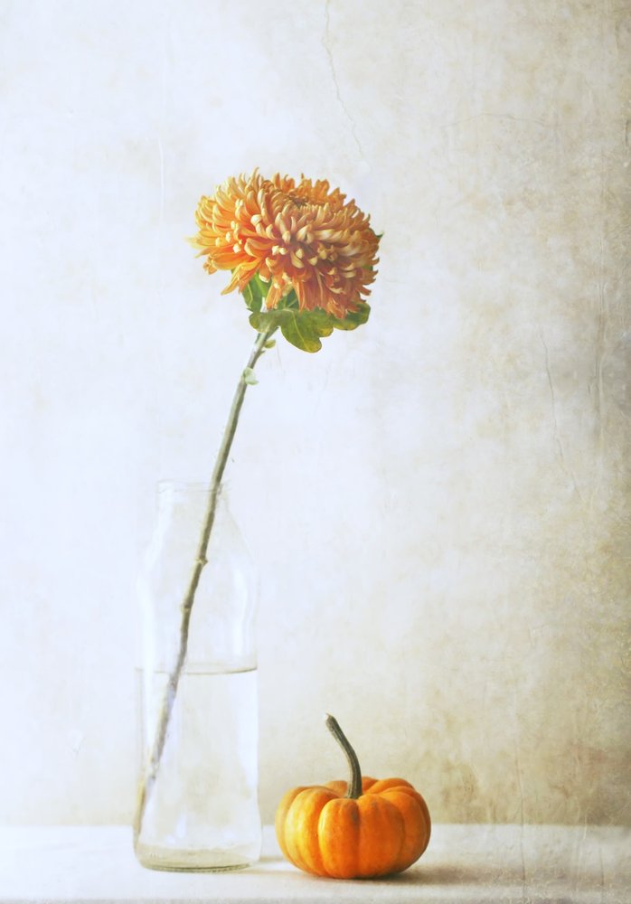  - Delphine Devos