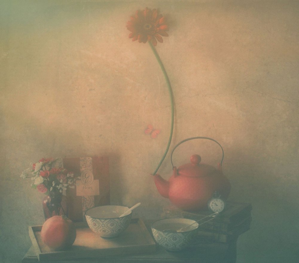  - Delphine Devos