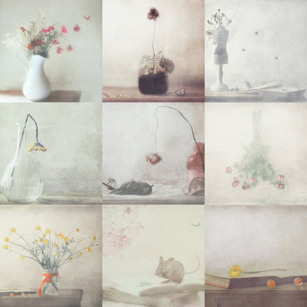  - Delphine Devos