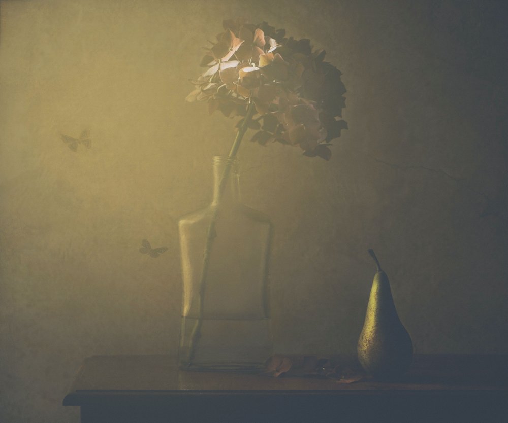  - Delphine Devos