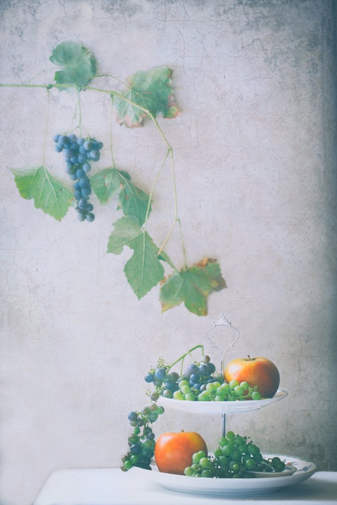 Nature morte aux fruits de la récolte - Delphine Devos