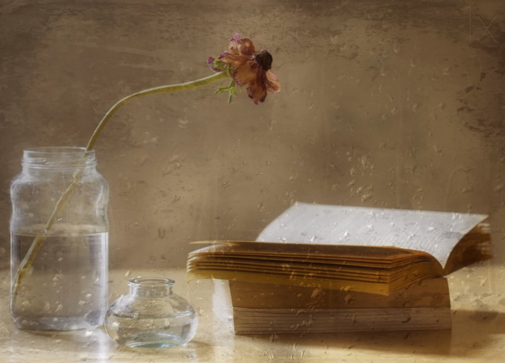 Fleur mélancolique et livre - Delphine Devos