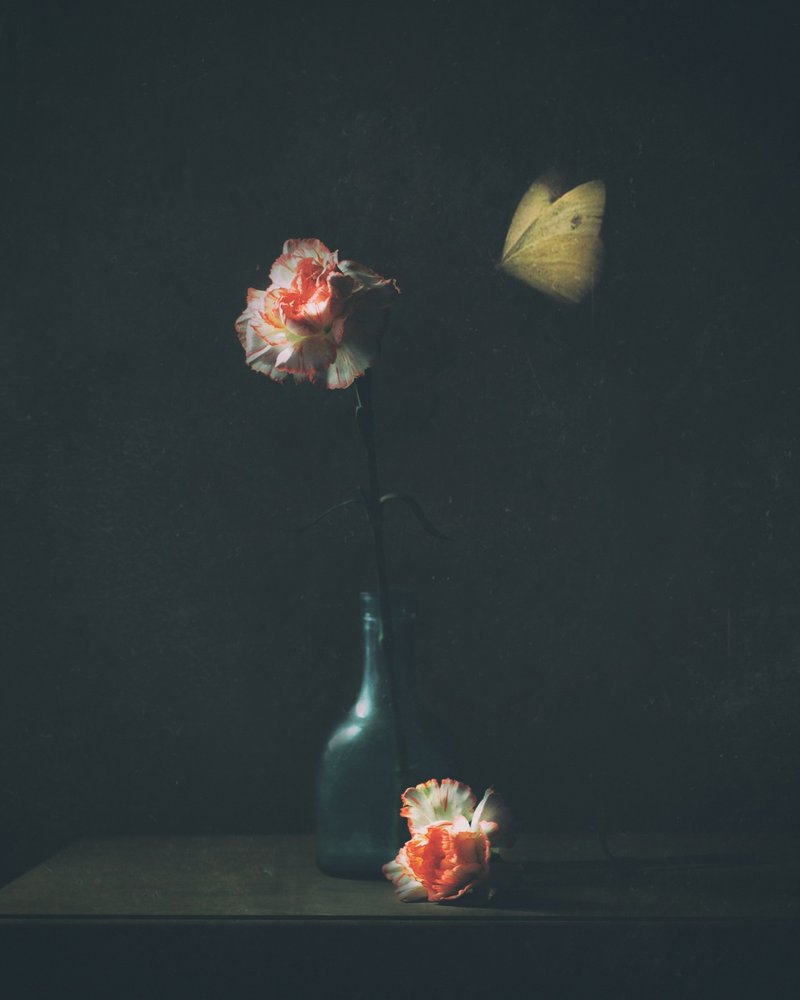  - Delphine Devos