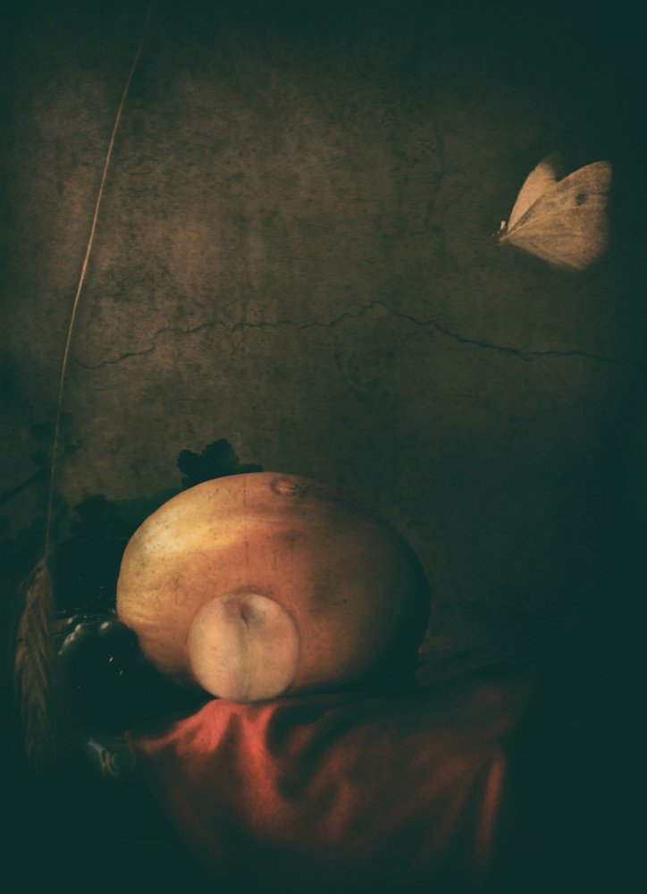  - Delphine Devos