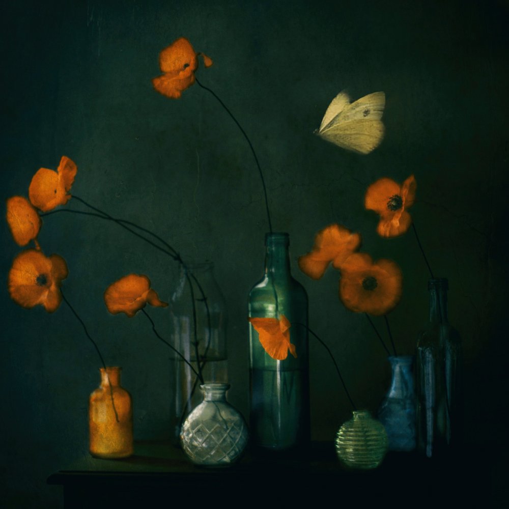  - Delphine Devos