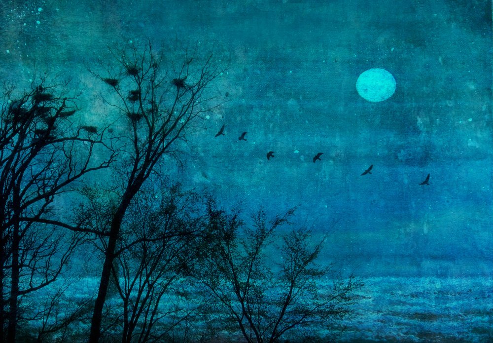 - Delphine Devos
