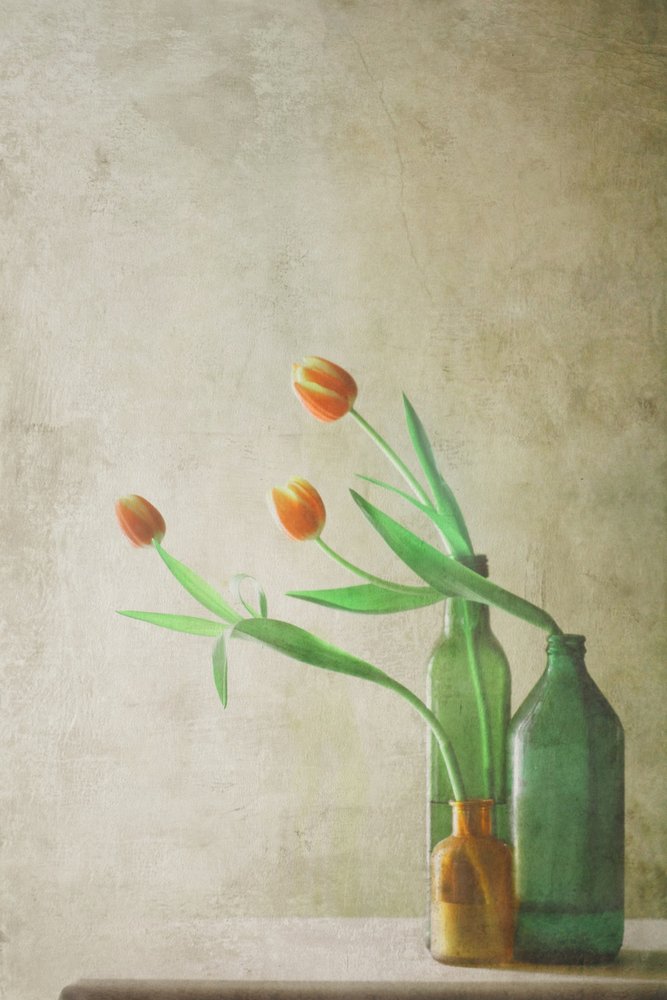  - Delphine Devos