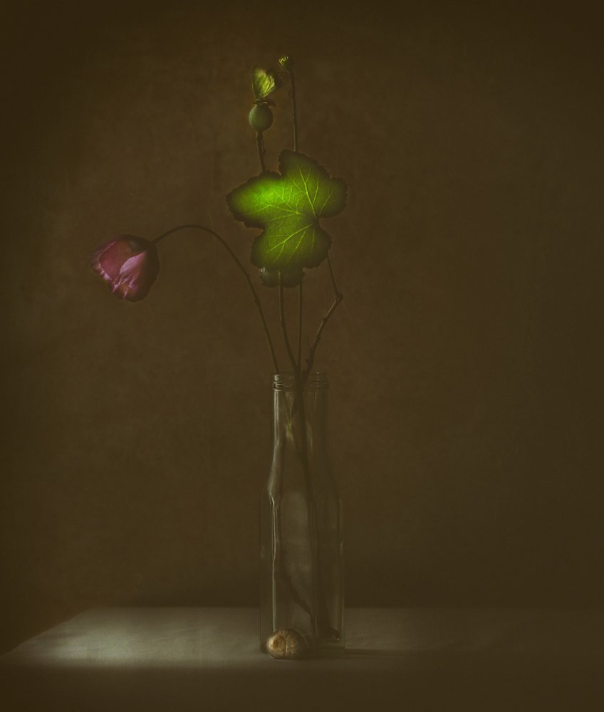 - Delphine Devos