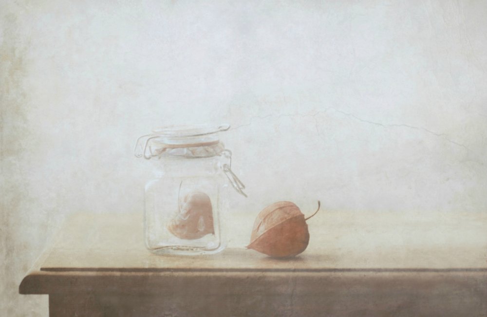  - Delphine Devos