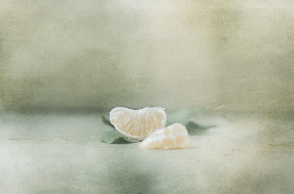 Nature morte aux agrumes délicats - Delphine Devos