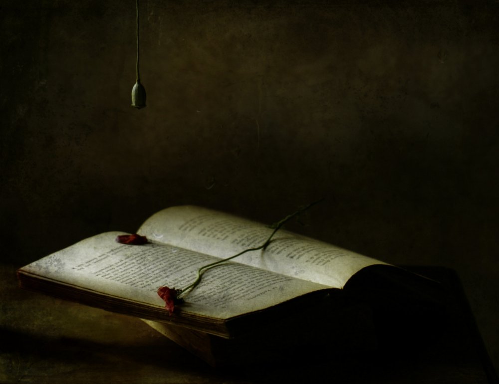  - Delphine Devos