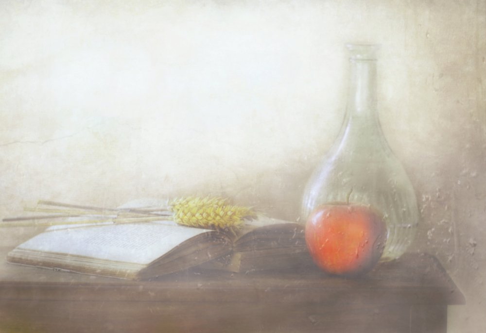  - Delphine Devos