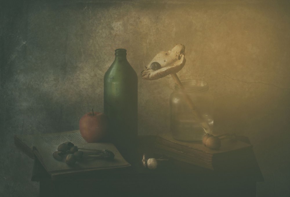  - Delphine Devos