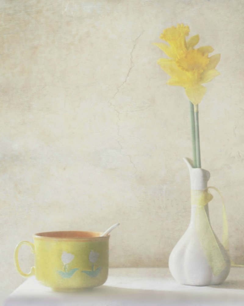 Nature morte aux jonquilles jaunes - Delphine Devos