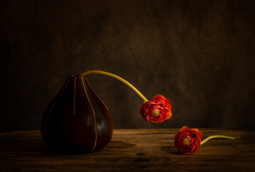 Nature morte aux renoncules de Moody - Dennis Zhang
