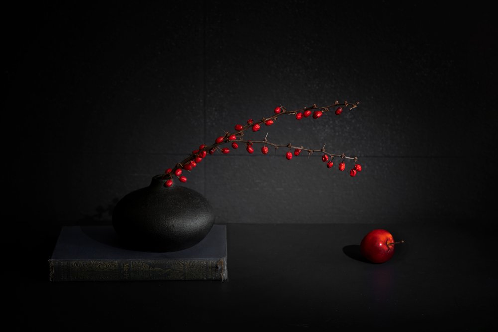 Nature morte : baies rouges dans un vase noir - Dennis Zhang