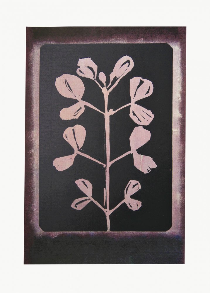 Silhouette botanique sombre - Doris Schmitz
