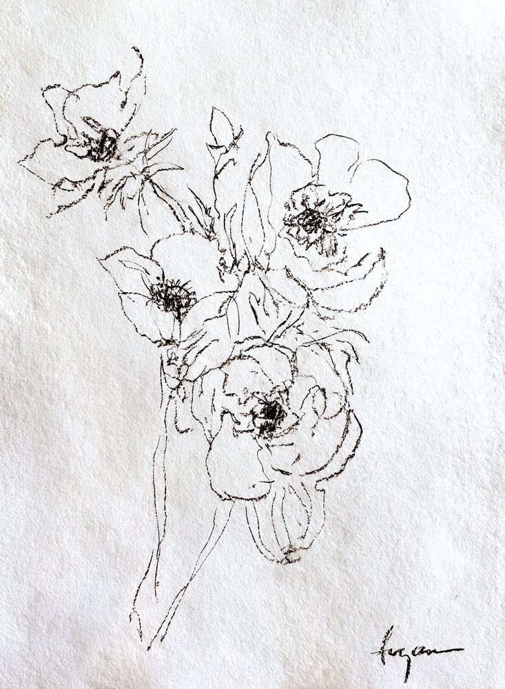 Dessin floral délicat - Dorothy Fagan