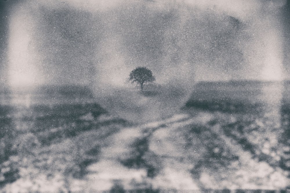 Le chemin vers l
