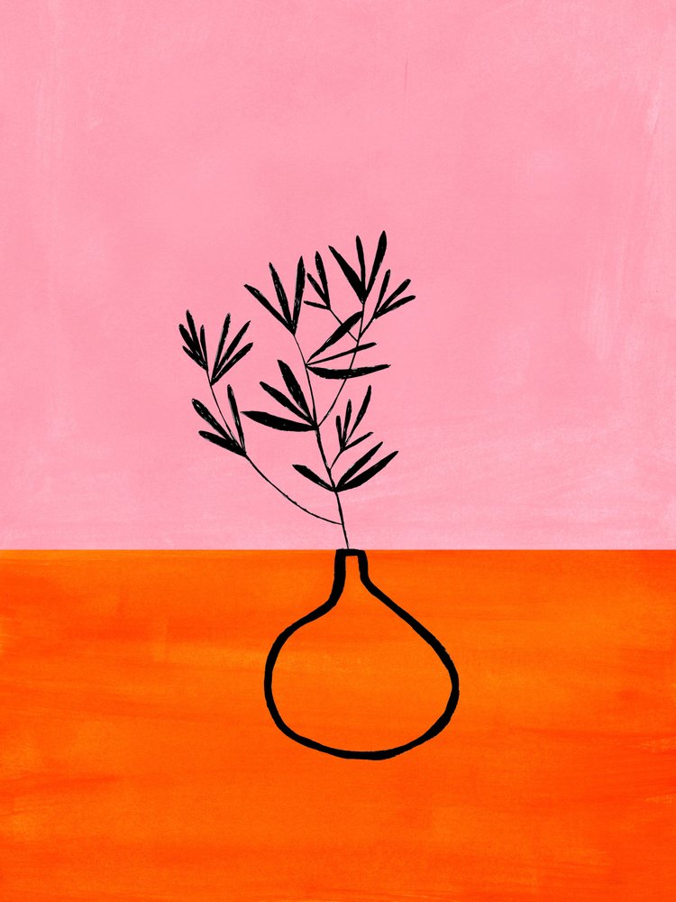 Plante rose-orange éclatante - Ejaaz Haniff