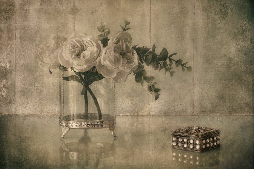 Rose élégante et souvenir - Elena Arjona